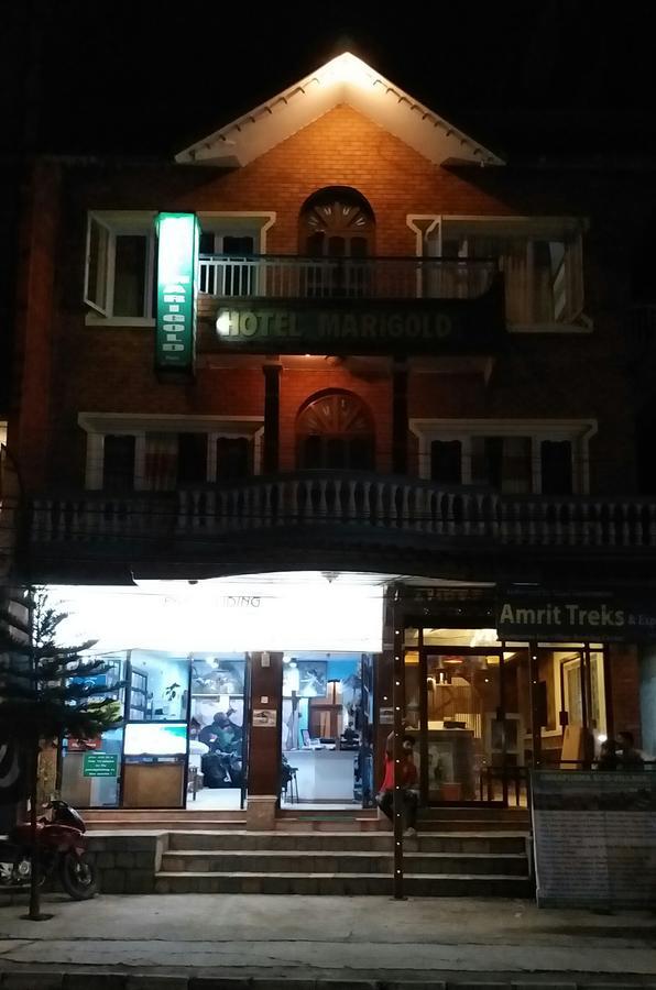 Hotel Marigold Pokhara Exterior foto